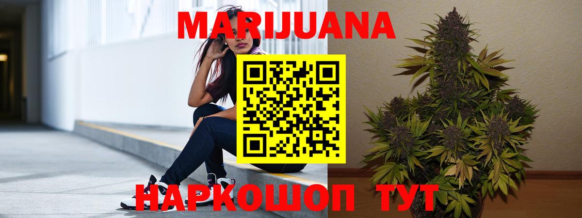 Конопля OG Kush Шахты